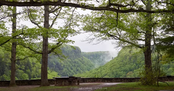 A view from the Tea Table Area at Letchworth State Park.