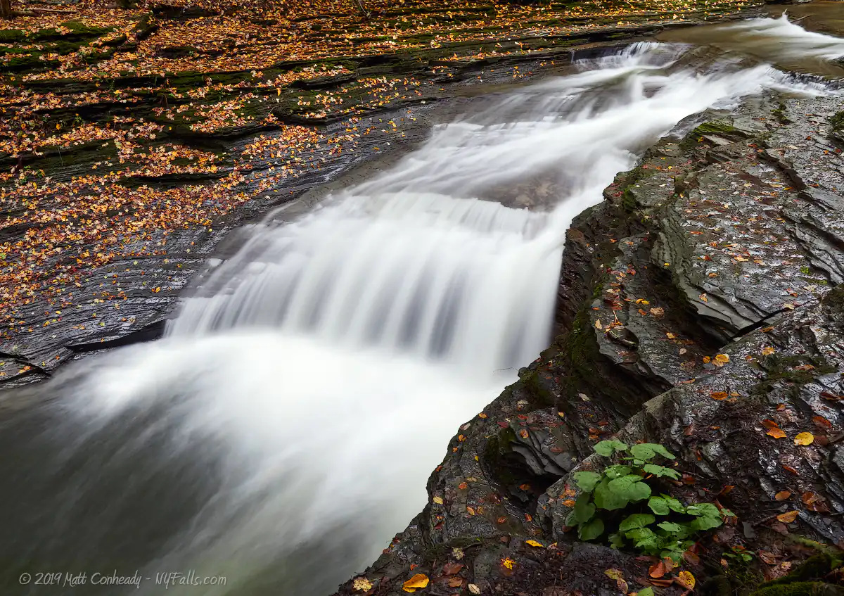 A closeup of a slide-like, narrow waterfall, surrounded by wet and autumn leave-covered cliffs
