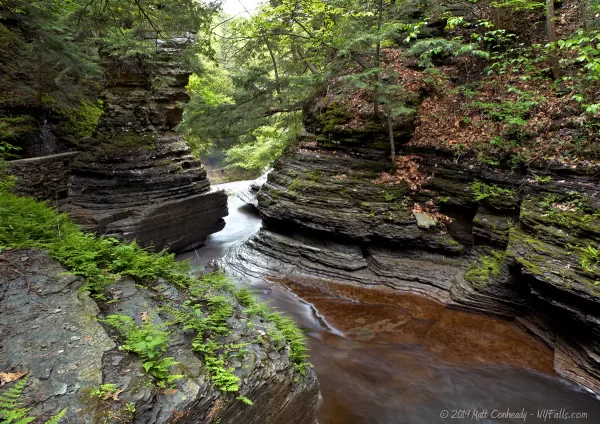 A narrow section of the Gorge at Buttermilk Falls State Park with Pinnacle Rock on the left