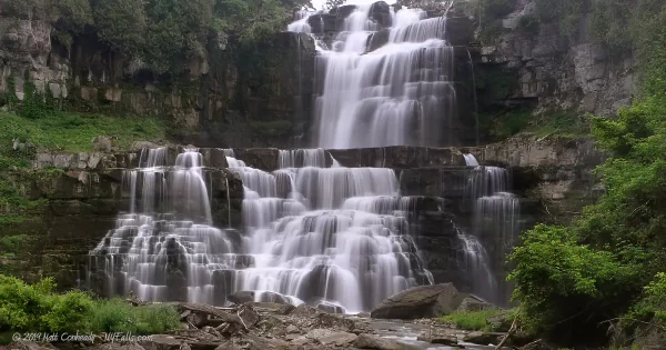 Chittenango Falls after fresh rain