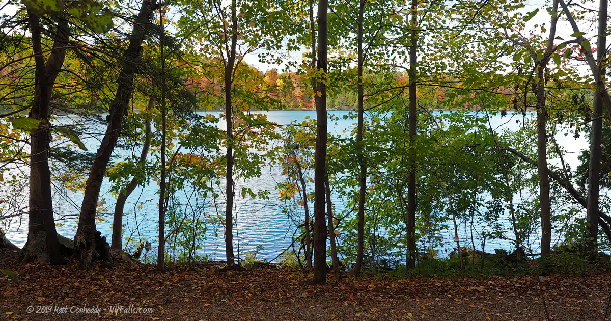 From the trail that encircles the park, looking past a narrow row of trees at the bright aquamarine colors of Green Lake.