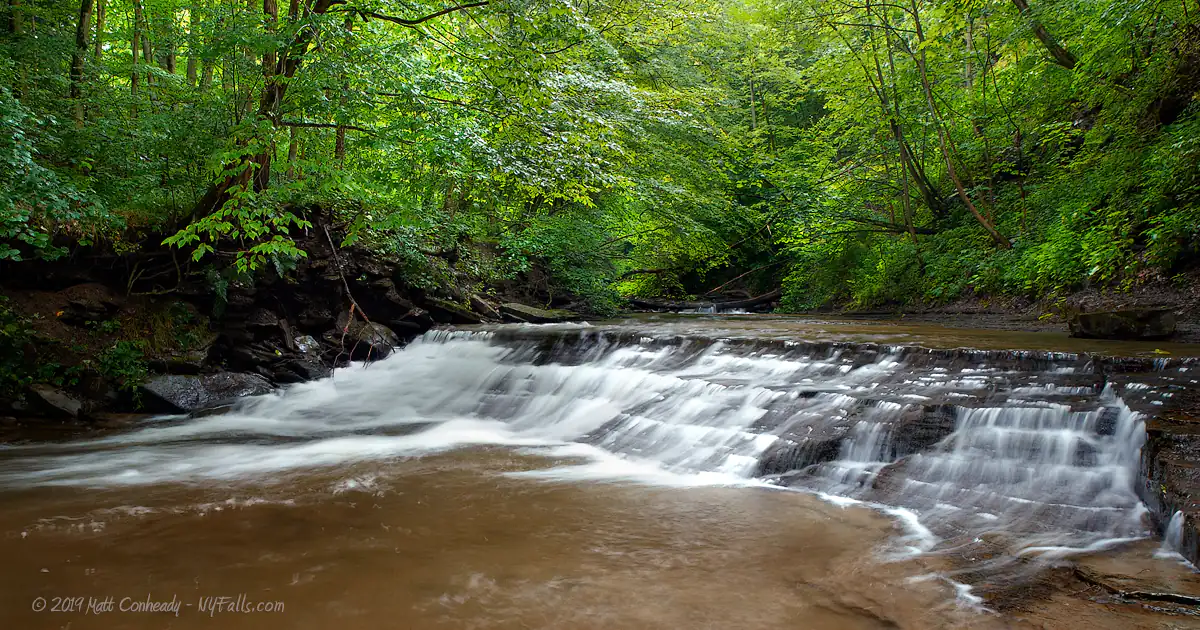 A small and wide waterfall in a densely wooded section of Grimes Glen.