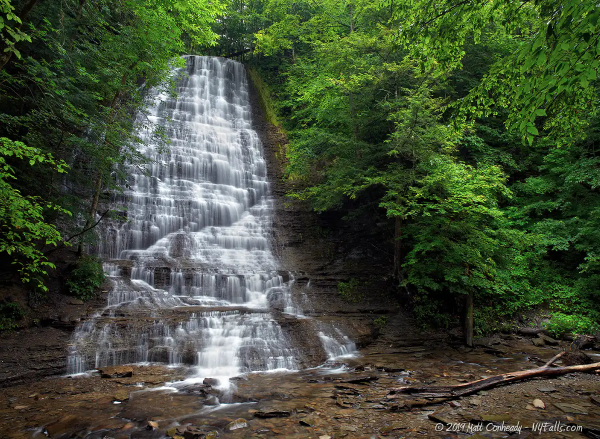A view of the first Grimes Glen waterfall surrounded by dense summer foliage.