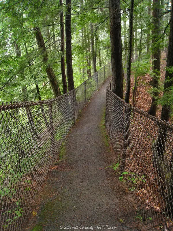 A paved trail surrounded by chain-link fence and trees that follows a ridge along the gorge.