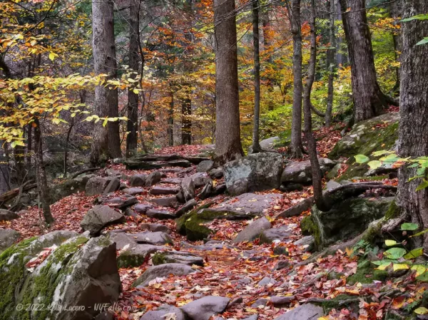 Bastion Falls area rocky hiking trail in autumn