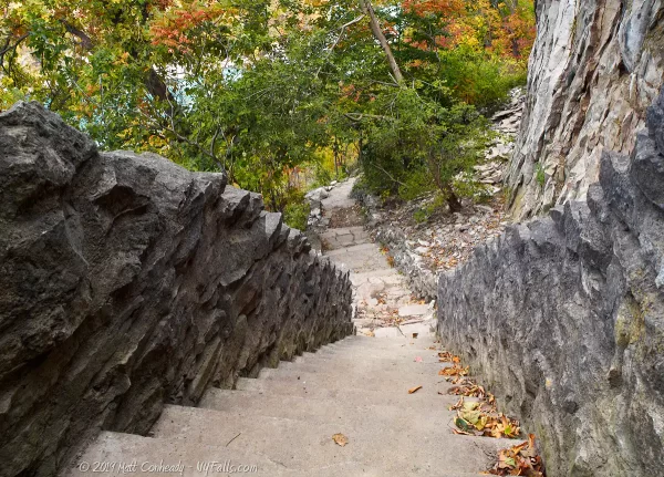 Steep steps leading down into the Niagara Gorge at Devil's Hole