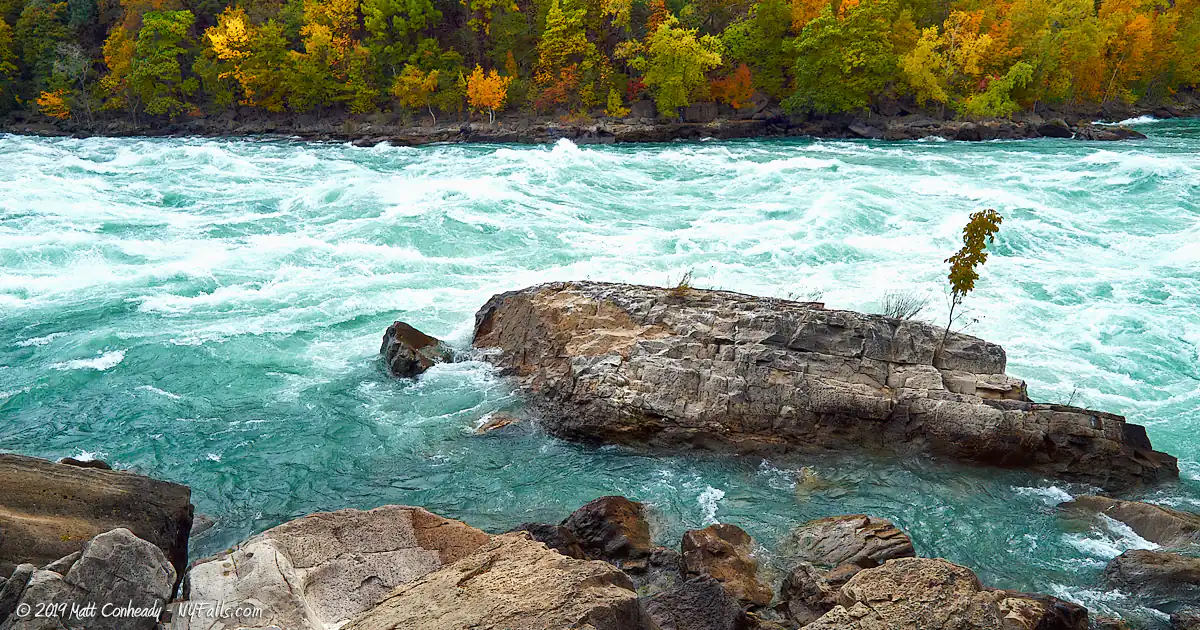 A close up of the frothy Whirlpool rapids passing a massive boulder with a little tree growing out of it.