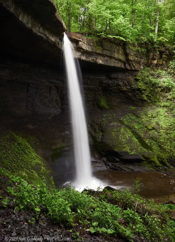 A wide view of the Carpenter Falls showing the depth of the overhang and height of the water plunge.