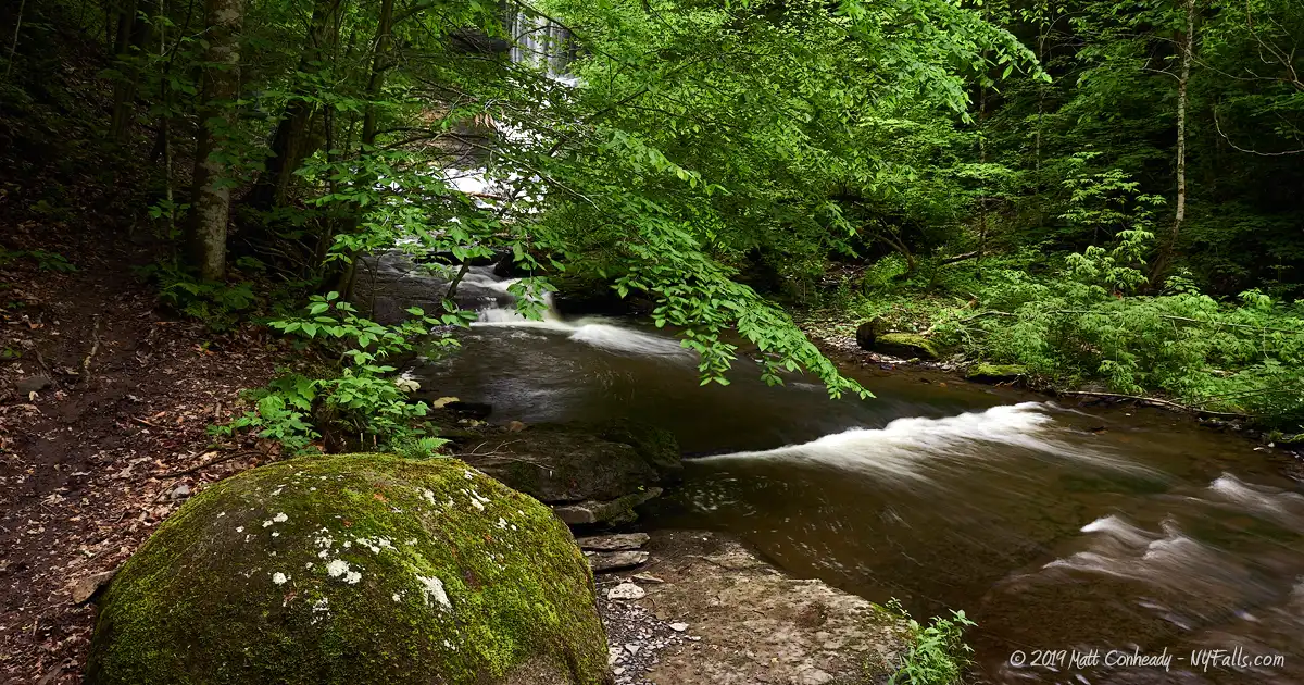 A view of Bear Swamp Creek with a large mossy boulder in the foreground and Carpenter Falls visible through the trees.