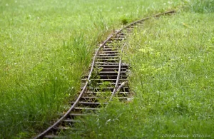 A small hobby train track in tall grass, found on the lawn of one of the nearby homes.
