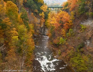 A view of Fall Creek Gorge looking back at the Stewart Avenue Bridge.
