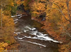 An autumn view of Fall Creek Gorge looking down from a bridge