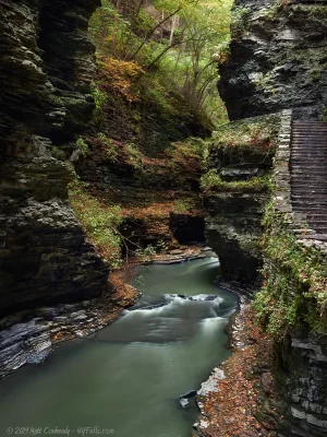 A section of Watkins Glen called "Glen Obscura" which is found right after the spiral tunnel.