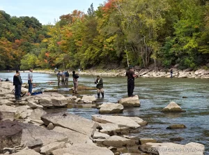 Fishermen on the banks of the Genesee River downstream from Lower Falls