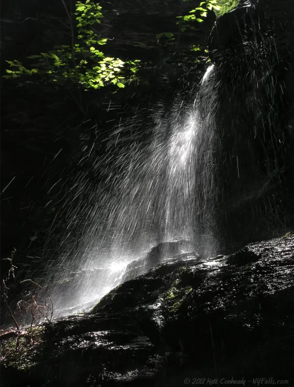 A waterfall in the shadows, found up the gorge at Onanda Park