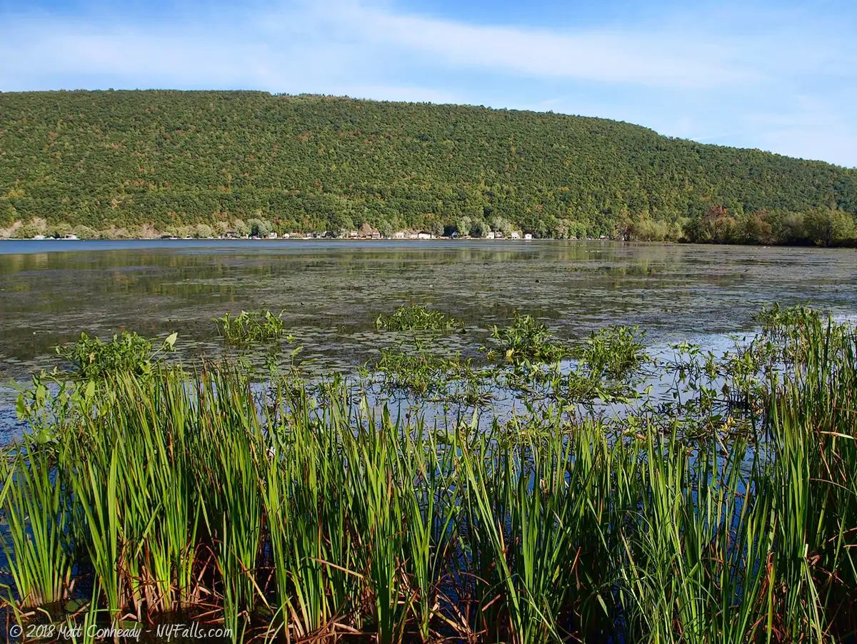 Wetlands at the southern end of Canandaigua Lake, Woodville boat launch