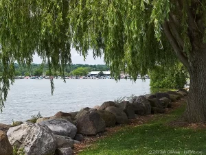 A willow tree at Kershaw Park on Canandaigua Lake
