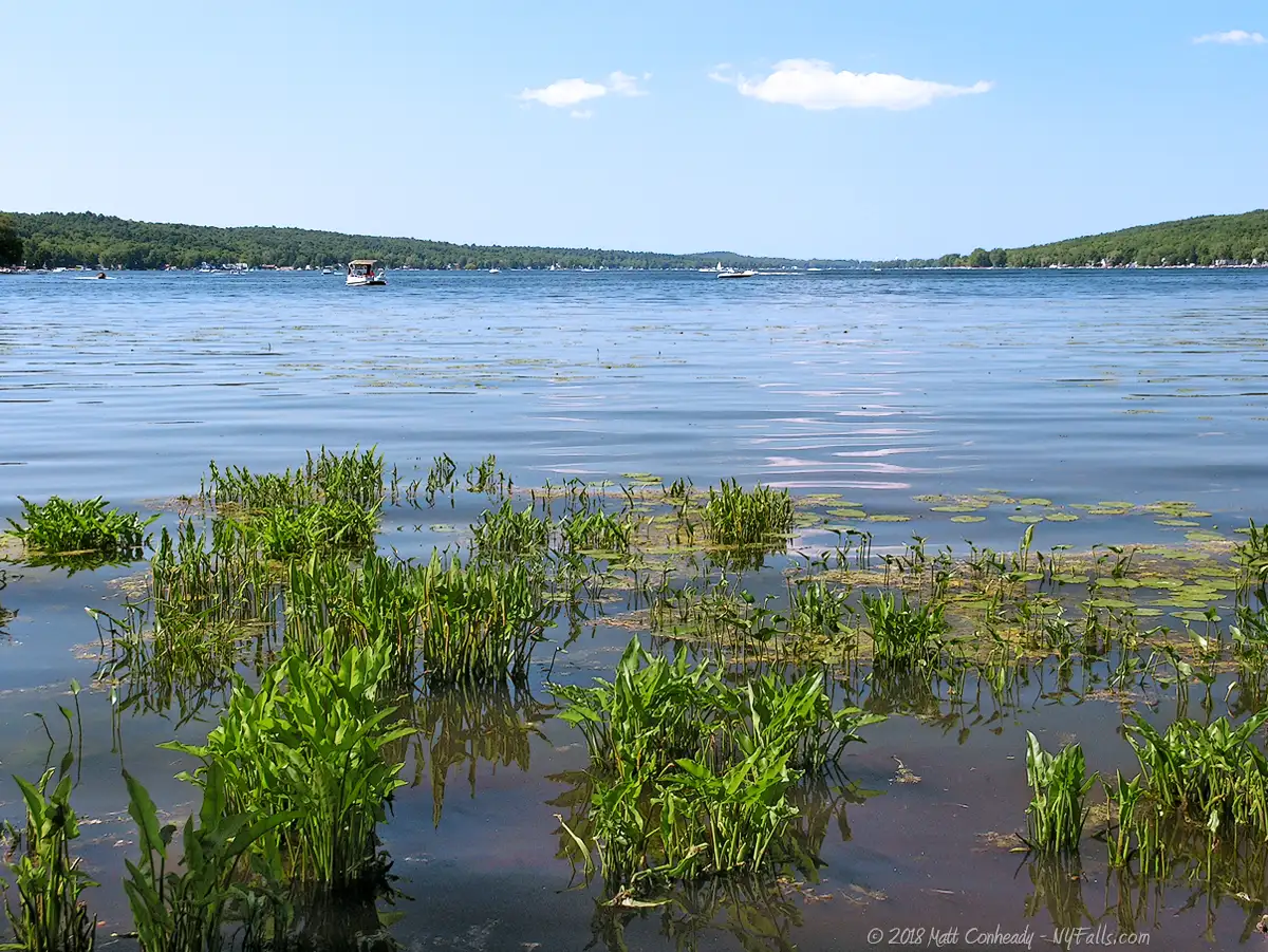 Conesus Lake view from the south end at the Wildlife Management Area