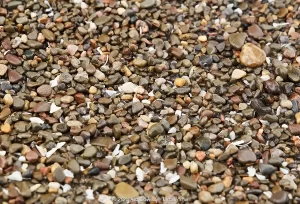 A close up of the sand at Hamlin Beach