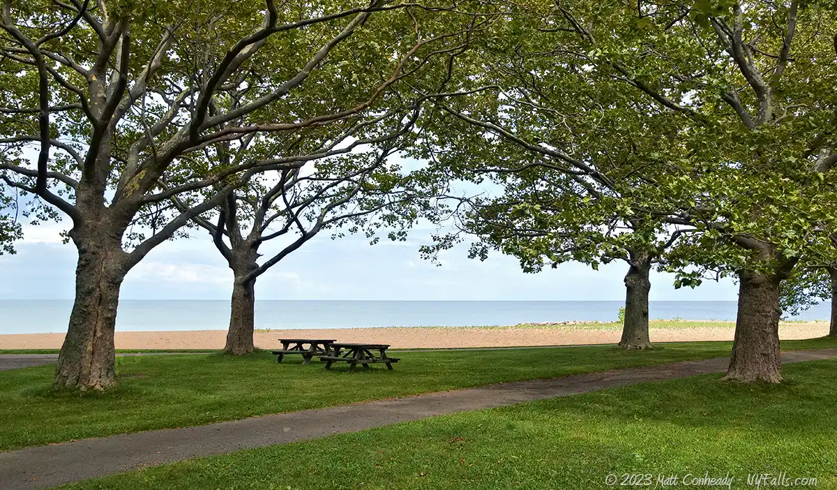 A beach-side picnic area in the shade, with a beautiful view of Lake Ontario