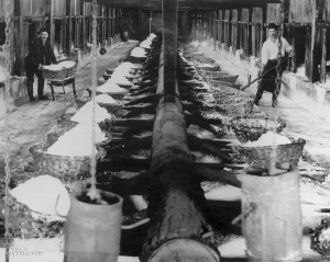 Two workers (George Dow and Jacob Frank) in a salt boiling block in 1885.