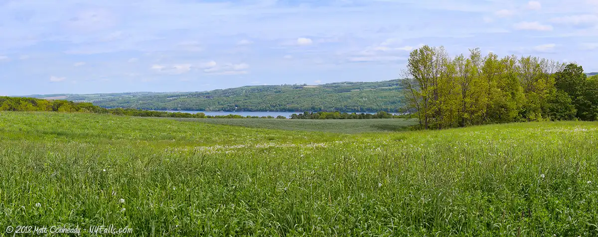 Panoramic view of Skaneateles Lake past green fields