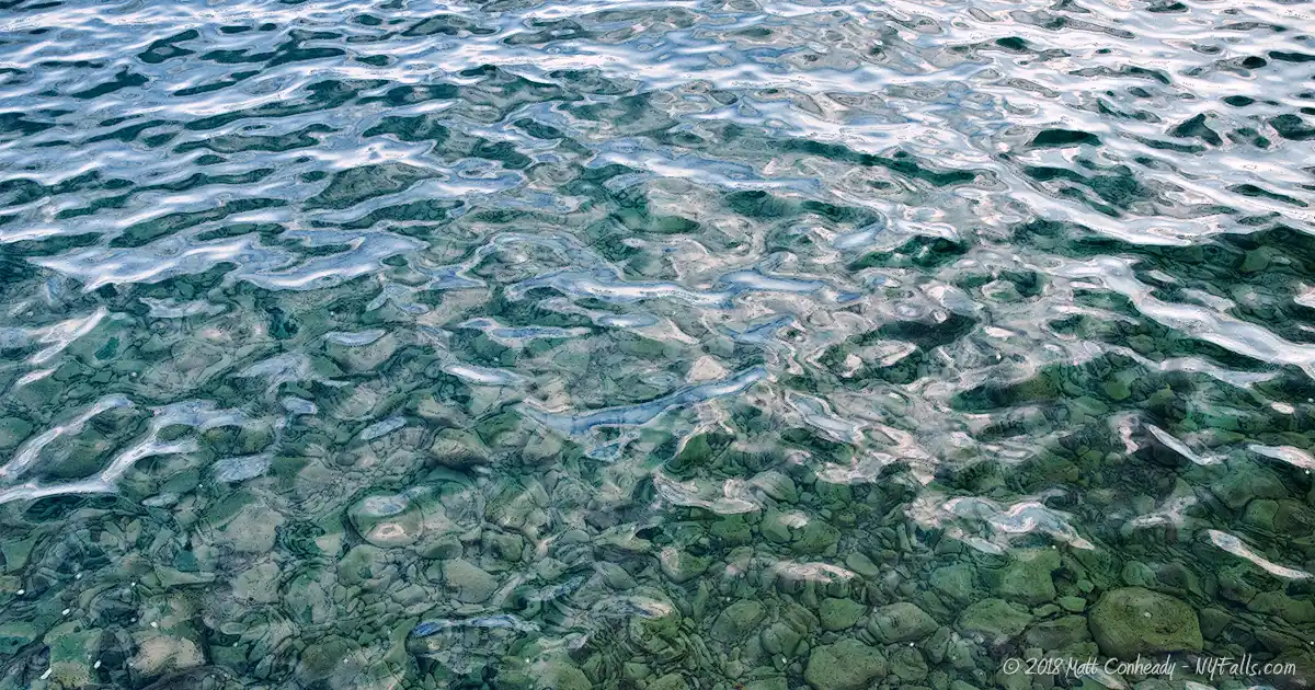 A close-up of the crystal clear water of Skaneateles Lake, with bottom visible
