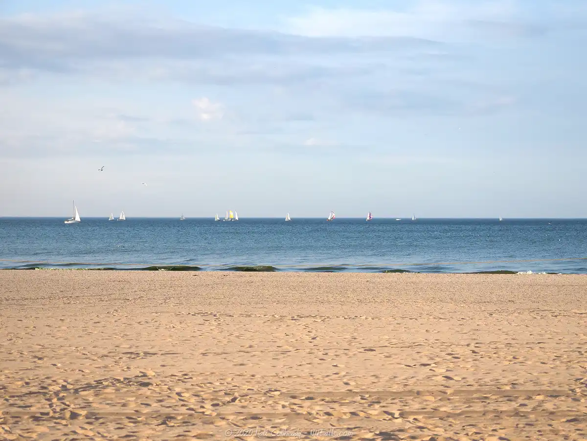 A late afternoon view of the beach with many sailboats on the Lake Ontario horizon
