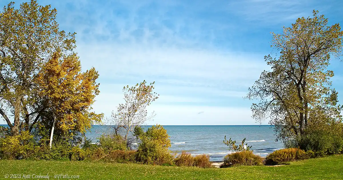 A view of Lake Ontario through the treeline