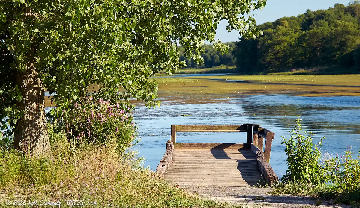 A small pier used for fishing over the pond at Fair Haven Beach State Park