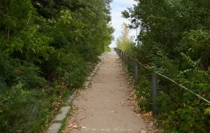 Tree-lined trail leading from the parking area to Seabreeze Pier on Lake Ontario and Irondequoit Bay.