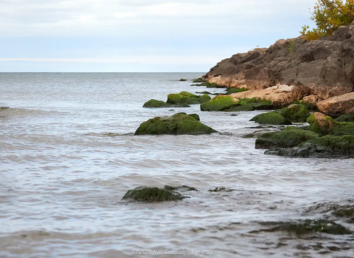 Algae-covered rocks along the pier at Seabreeze. The photo is captured at a low angle making the relatively small rocks look large like a rocky coastline.