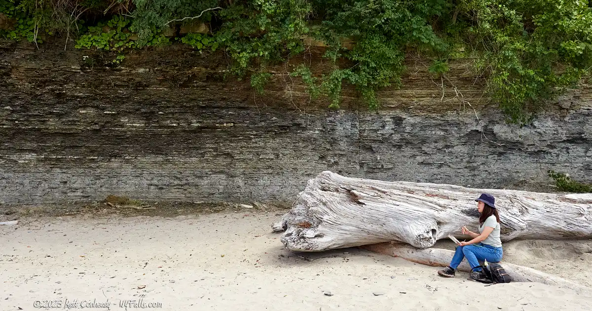 A woman sits on some driftwood on the beach and paints the scenery.