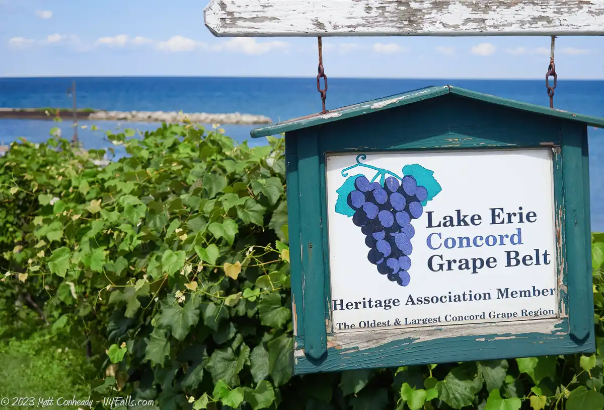 A sign at Barcelona harbor that says "Lake Erie Concord Grape Belt"
