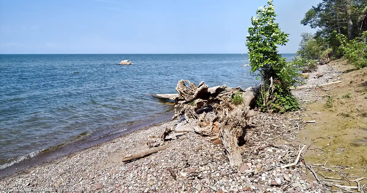 A view of Camp Beachwood State Park's shoreline