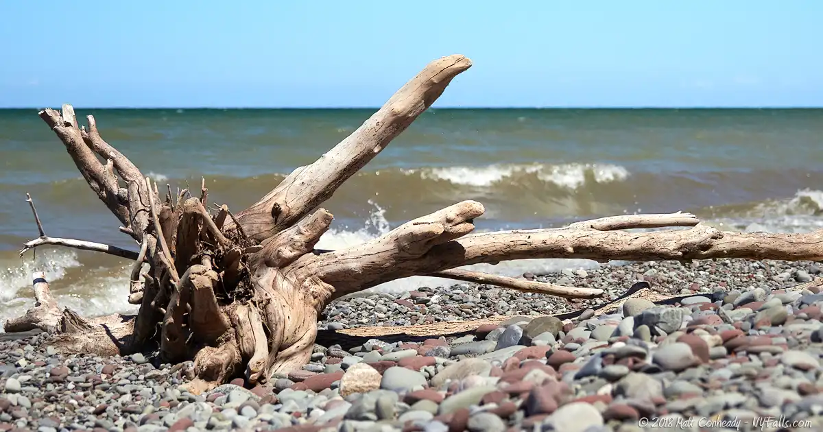 Beached driftwood at Whistlewood Park as waves from Lake Ontario crash on the shoreline.