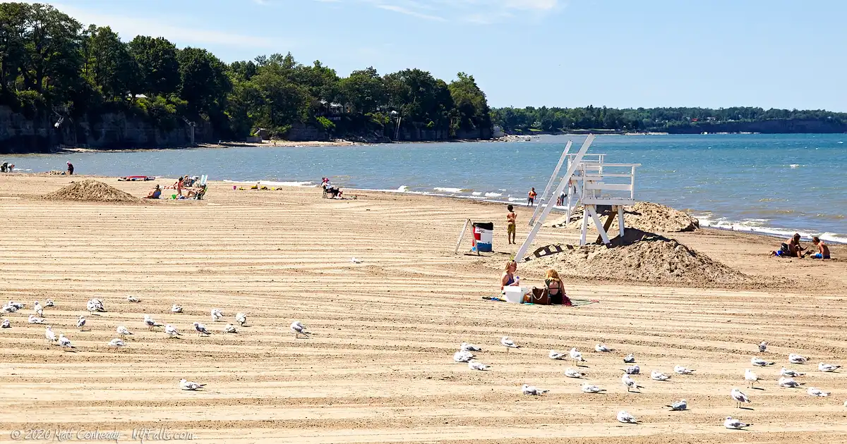 A clean sandy beach with sparse people and plenty of seagulls. A relatively calm Lake Erie in the background.