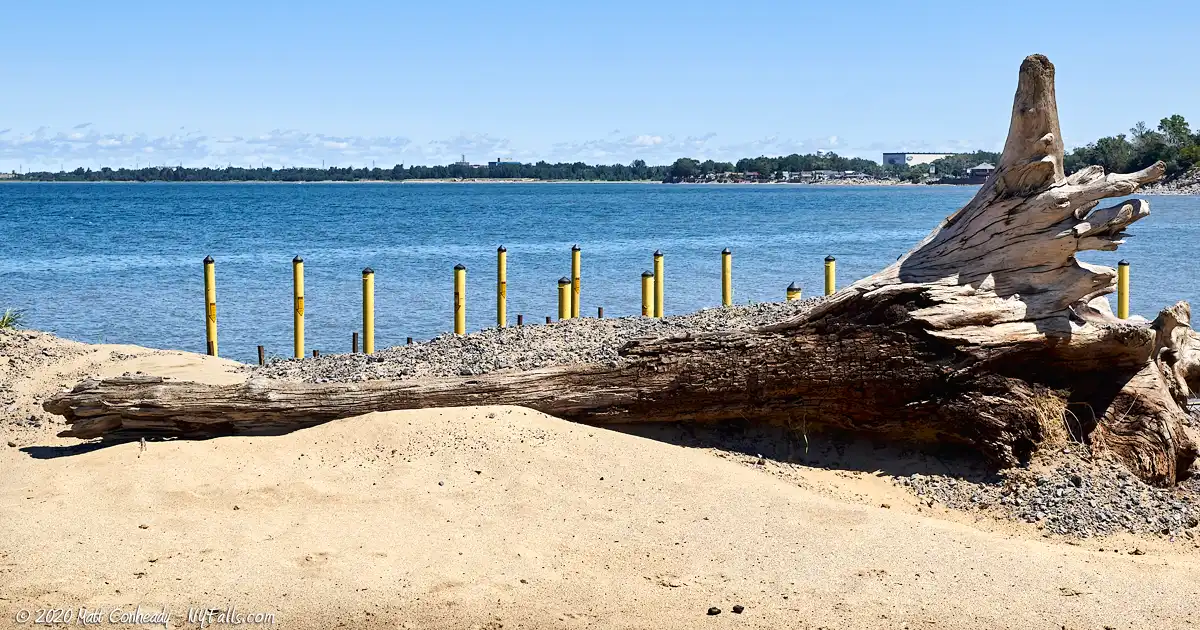 A large tree washed up on the sandy beach of Lake Erie at Hamburg Beach Town Park