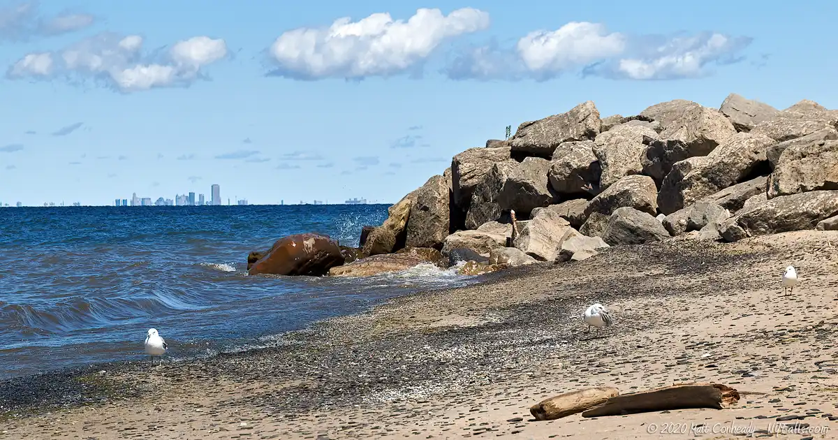 Buffalo can be seen in the distance from the beach at the Sturgeon Point Marina