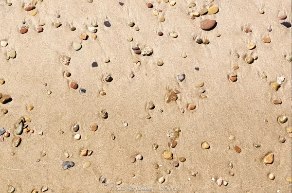 The golden sand of Bennet Beach with small pebbles scattered about.