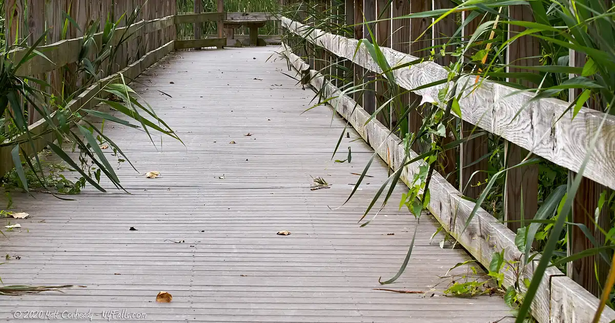 A wooden boardwalk that leads through marshland in Times Beach Nature Preserve