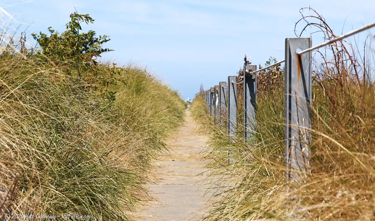 A pathway through tall grass leading to Hanover Beach