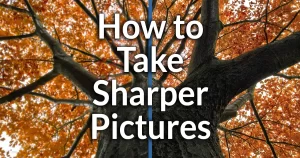 How to take sharper pictures. Photography guide.