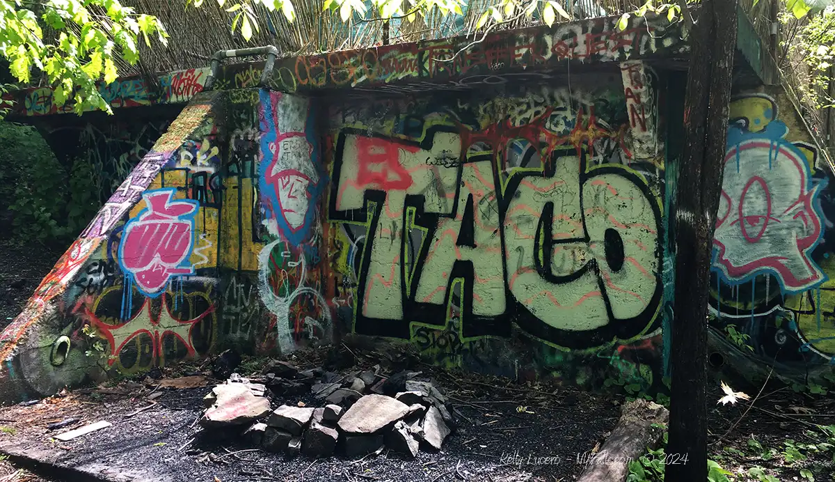 Graffiti including the word TACO on the walls surrounding Zabriskie's Waterfall.