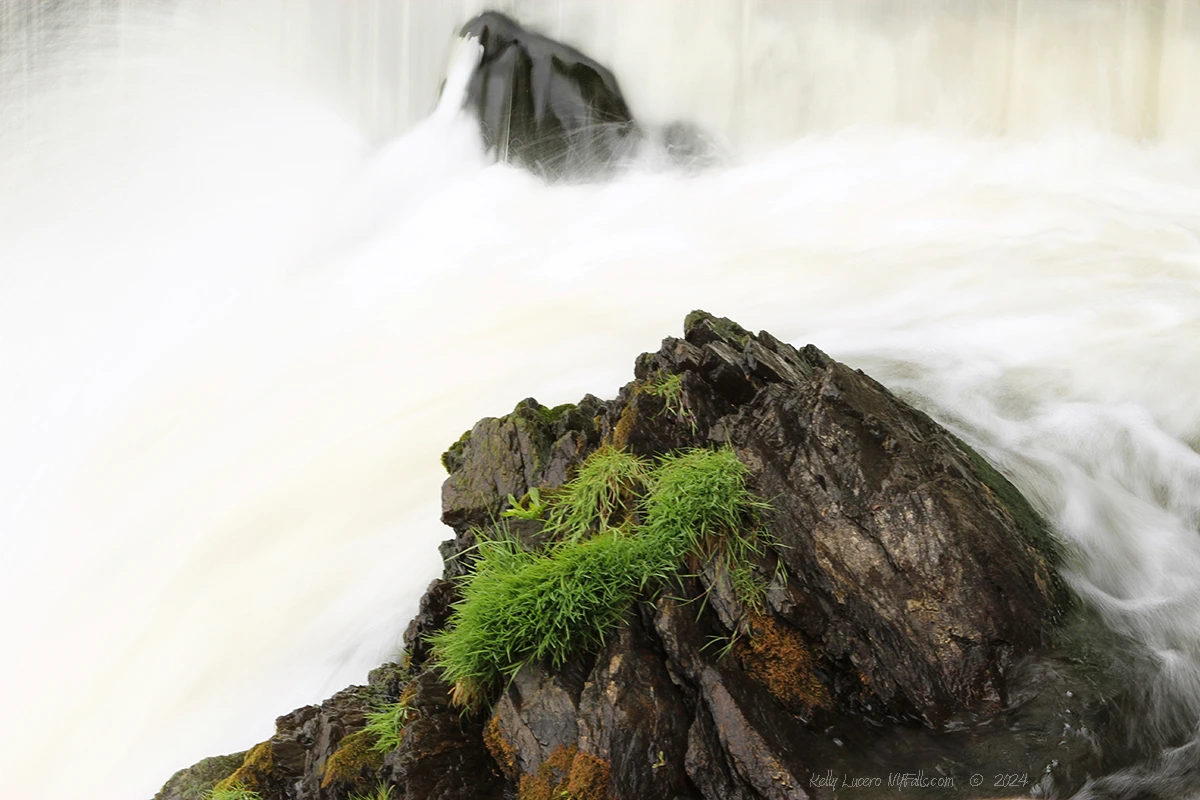 Contrast of white water and dark rocks with a bit of moss atop one.