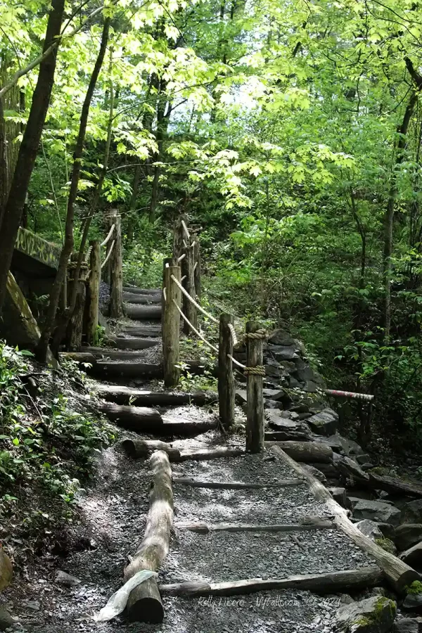 Gravel and log stairway with rope railings leading down to Zabriskie's Waterfall