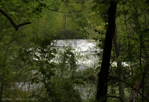 The view through the trees of the approach to Tioronda Falls.