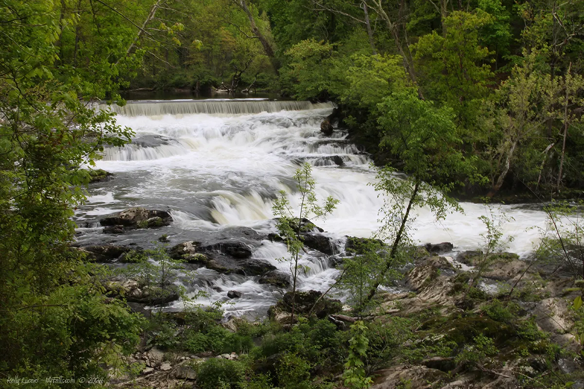 Tioronda Dam and waterfall enveloped in lush green vegetation, as seen from the end of the accessible trail.