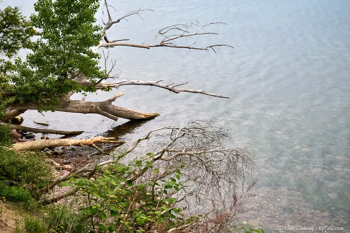 Lake Ontario at Cornwall Preserve