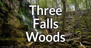 Three Falls Woods Information